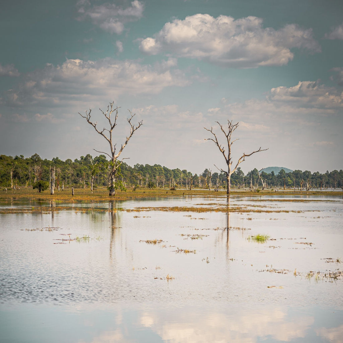 ueberflutetes land