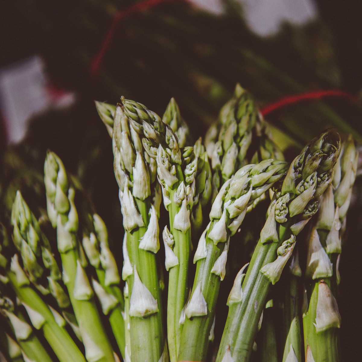 Grüner Spargel